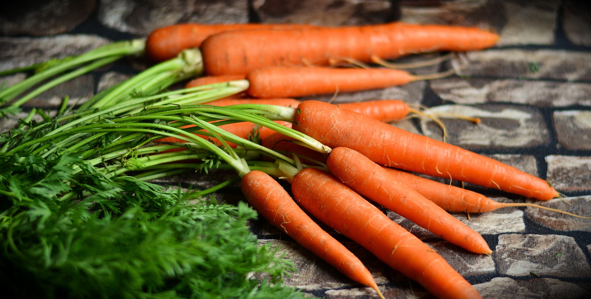 ПРОГНОЗ: На українському ринку може виникнути дефіцит якісної моркви